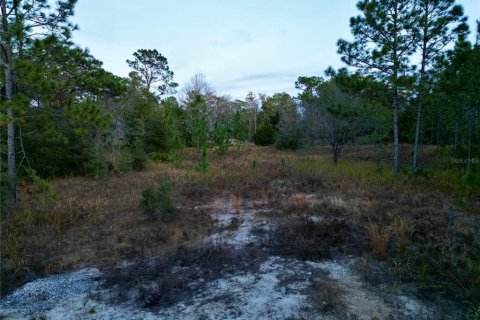 Land in Ocala, Florida № 1719874 - photo 9