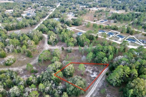 Land in Ocala, Florida № 1719874 - photo 3