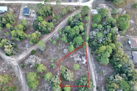 Land in Ocala, Florida № 1719874 - photo 4
