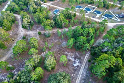 Land in Ocala, Florida № 1719874 - photo 5