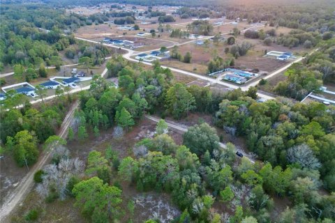 Land in Ocala, Florida № 1719874 - photo 6