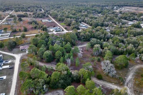 Land in Ocala, Florida № 1719874 - photo 7