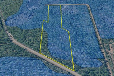 Terrain à vendre à Perry, Floride № 2148723 - photo 25
