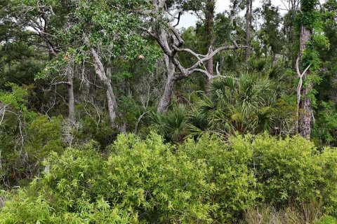 Terrain à vendre à Perry, Floride № 2148723 - photo 6
