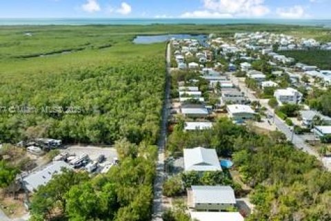 House in Key Largo, Florida 3 bedrooms, 106.65 sq.m. № 1964093 - photo 24
