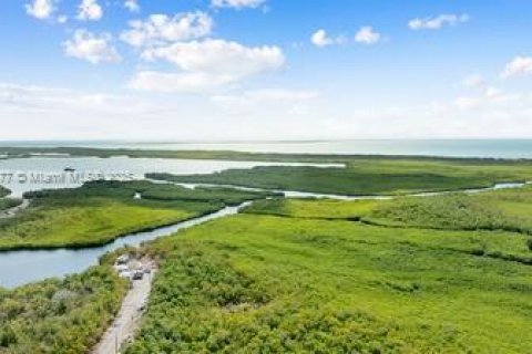 House in Key Largo, Florida 3 bedrooms, 106.65 sq.m. № 1964093 - photo 27