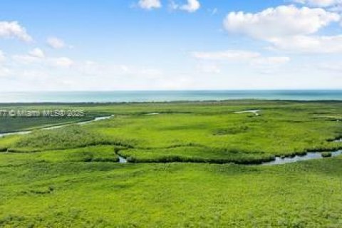 House in Key Largo, Florida 3 bedrooms, 106.65 sq.m. № 1964093 - photo 26