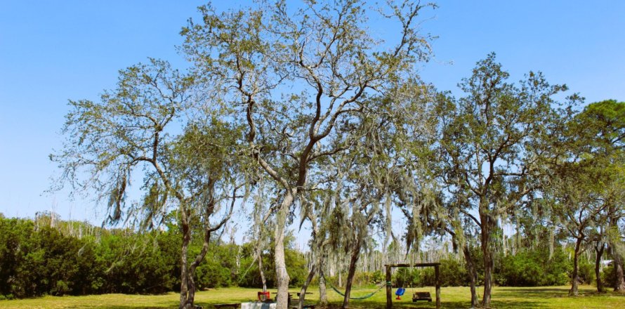 Land in Jacksonville, Florida № 772393