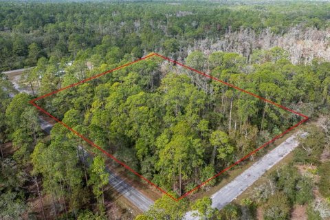 Land in Crystal River, Florida № 1559497 - photo 1