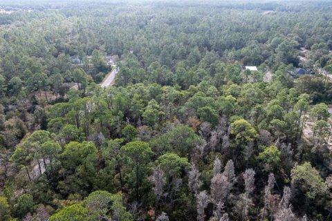 Land in Crystal River, Florida № 1559497 - photo 8