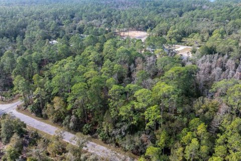 Land in Crystal River, Florida № 1559497 - photo 3