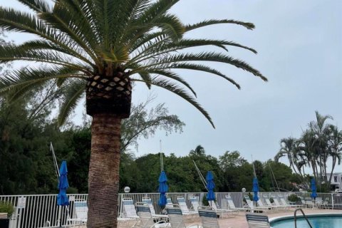 Copropriété à louer à Pompano Beach, Floride: 1 chambre, 61.5 m2 № 2341390 - photo 2