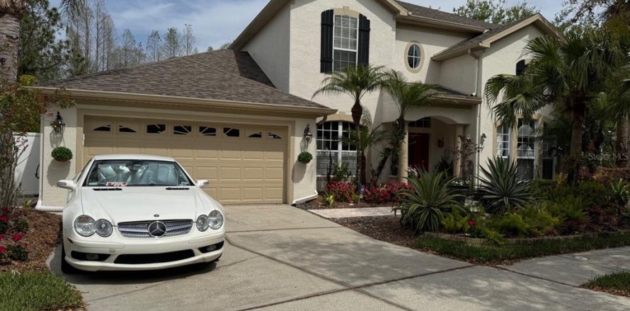 House in Tampa, Florida 4 bedrooms, 298.59 sq.m. № 1717749