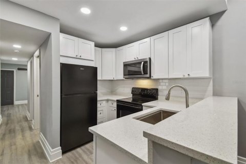 House in Tampa, Florida 6 bedrooms, 165.83 sq.m. № 1614907 - photo 23