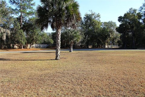 Land in Silver Springs Shores, Florida № 2232956 - photo 2
