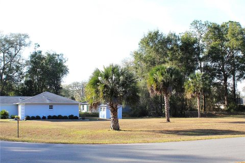 Land in Silver Springs Shores, Florida № 2232956 - photo 5