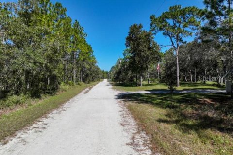 Land in Weeki Wachee, Florida № 1839832 - photo 10