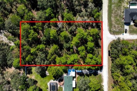 Land in Weeki Wachee, Florida № 1839832 - photo 1