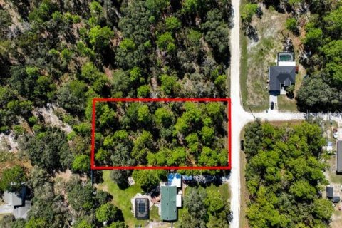 Land in Weeki Wachee, Florida № 1839832 - photo 5