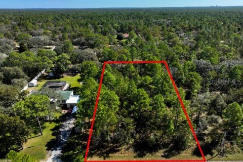Land in Weeki Wachee, Florida № 1839832 - photo 3
