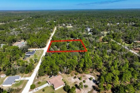 Land in Weeki Wachee, Florida № 1839832 - photo 7