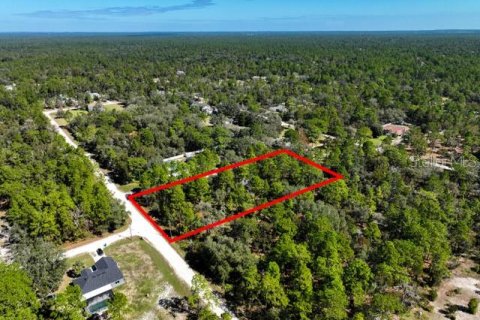 Land in Weeki Wachee, Florida № 1839832 - photo 9