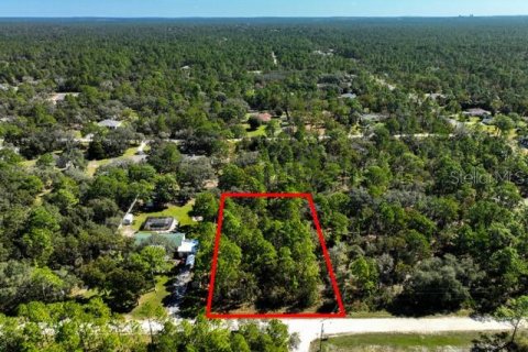 Land in Weeki Wachee, Florida № 1839832 - photo 2