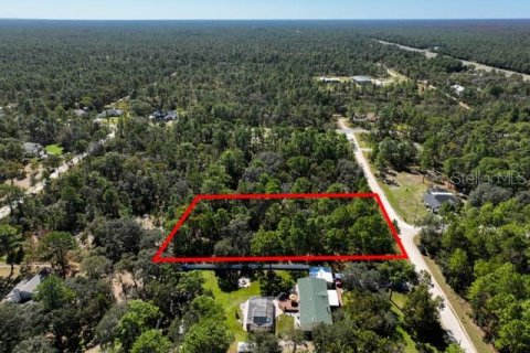 Land in Weeki Wachee, Florida № 1839832 - photo 8
