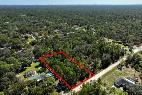 Land in Weeki Wachee, Florida № 1839832 - photo 6