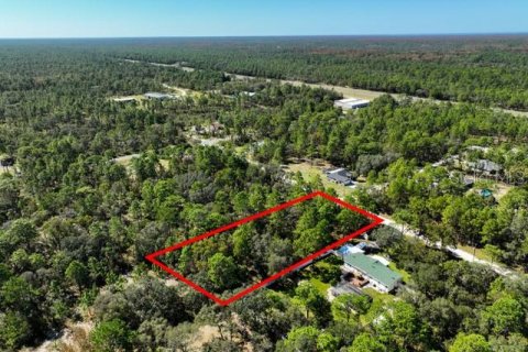 Land in Weeki Wachee, Florida № 1839832 - photo 4