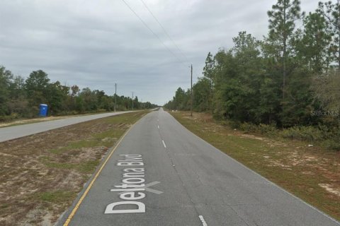 Land in Chipley, Florida № 2202625 - photo 2