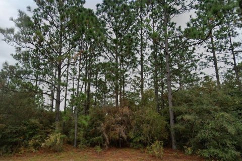Land in Chipley, Florida № 2202625