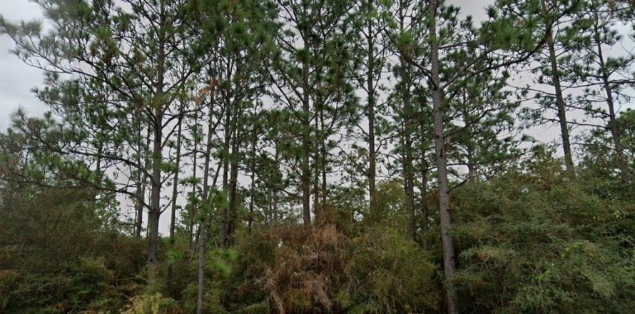 Land in Chipley, Florida № 2202625