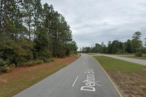 Land in Chipley, Florida № 2202625 - photo 3