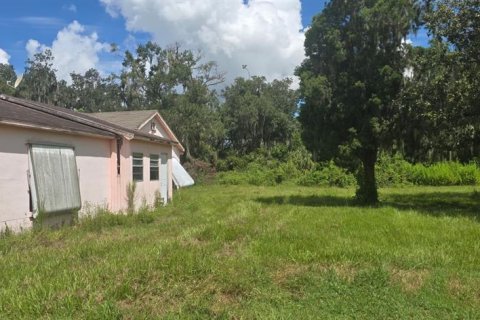 Villa ou maison à vendre à Fish Hawk, Floride: 2 chambres, 119.47 m2 № 2349557 - photo 3