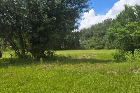 Villa ou maison à vendre à Fish Hawk, Floride: 2 chambres, 119.47 m2 № 2349557 - photo 5
