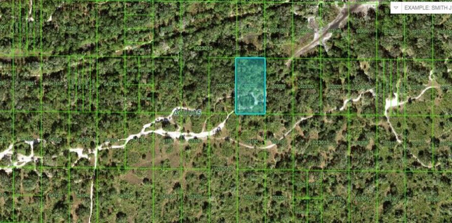 Terrain à Frostproof, Floride № 2226958