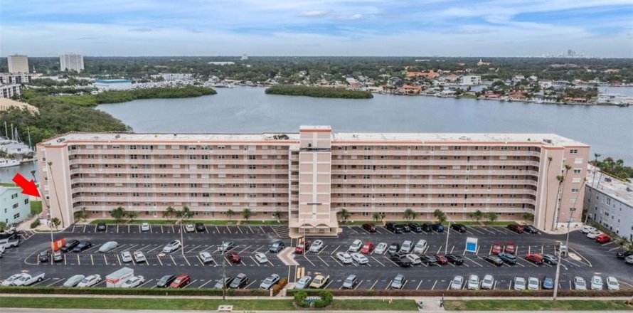 Condo à South Pasadena, Floride, 2 chambres  № 1816848