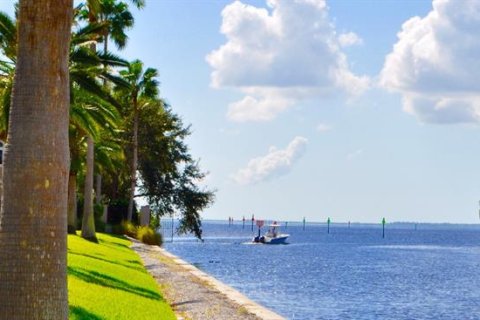 Land in Port Charlotte, Florida № 1810680 - photo 11
