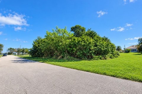 Terrain à vendre à Port Charlotte, Floride № 2416595 - photo 6
