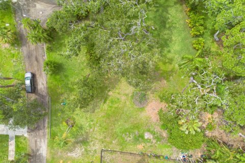 Land in Saint Petersburg, Florida № 1826917 - photo 16