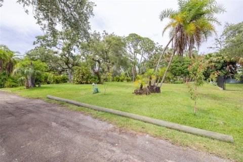 Land in Saint Petersburg, Florida № 1826917 - photo 1