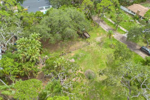 Land in Saint Petersburg, Florida № 1826917 - photo 14