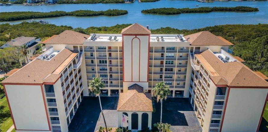 Condo in Seminole, Florida, 2 bedrooms  № 1602086