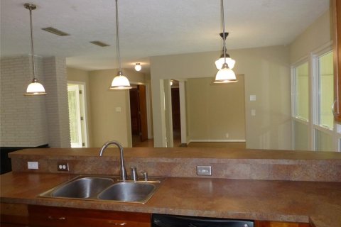 House in Temple Terrace, Florida 3 bedrooms, 184.23 sq.m. № 1910945 - photo 7