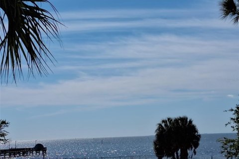 Condo in Ruskin, Florida, 1 bedroom  № 2195112 - photo 29