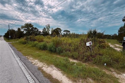 Land in Spring Hill, Florida № 2379004 - photo 8