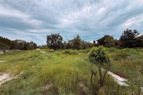 Land in Spring Hill, Florida № 2379004 - photo 6