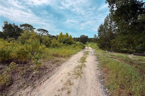 Land in Spring Hill, Florida № 2379004 - photo 2