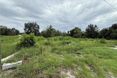 Land in Spring Hill, Florida № 2379004 - photo 5